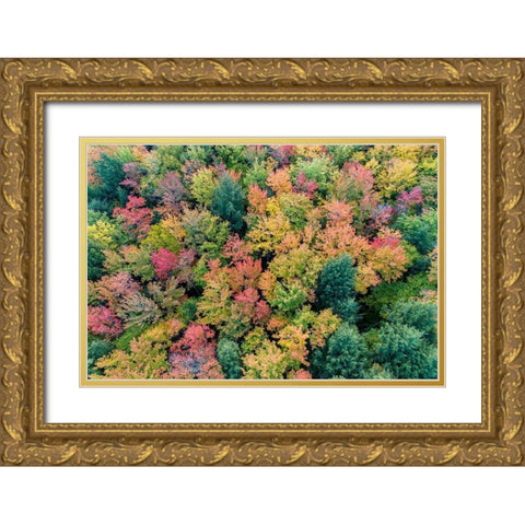 Aerial view of Hugoboom Lake in fall color-Alger County-Michigan Gold Ornate Wood Framed Art Print with Double Matting by Day, Richard and Susan