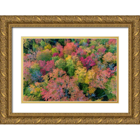 Aerial view of Hugoboom Lake in fall color-Alger County-Michigan Gold Ornate Wood Framed Art Print with Double Matting by Day, Richard and Susan