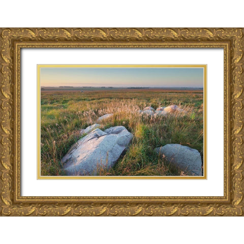 Boulders of quartzite in Touch the Sky Prairie-southwest-Minnesota Gold Ornate Wood Framed Art Print with Double Matting by Majchrowicz, Alan