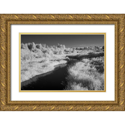 USA-Minnesota-Mississippi River Headwaters region-Mississippi River Gold Ornate Wood Framed Art Print with Double Matting by Hawkins, Peter