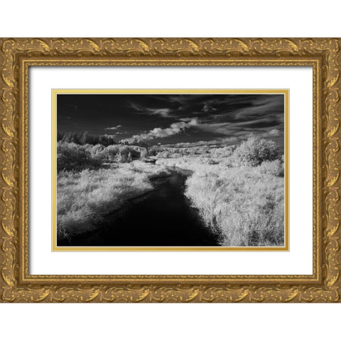 USA-Minnesota-Mississippi River Headwaters region-Mississippi River Gold Ornate Wood Framed Art Print with Double Matting by Hawkins, Peter