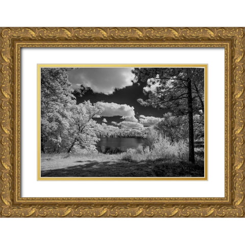 USA-Minnesota-La Salle State Recreation area Gold Ornate Wood Framed Art Print with Double Matting by Hawkins, Peter