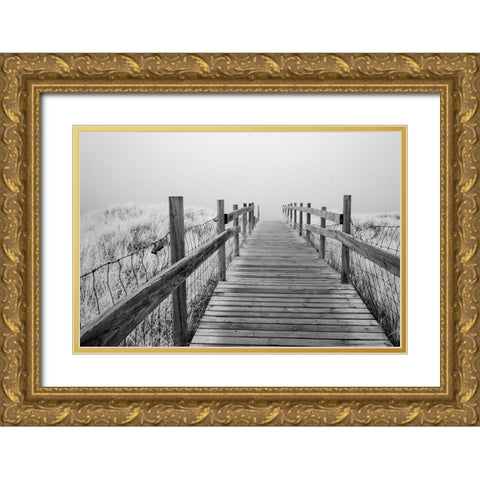 USA-Minnesota-Duluth-Park Point-Boardwalk over Dunes Gold Ornate Wood Framed Art Print with Double Matting by Hawkins, Peter