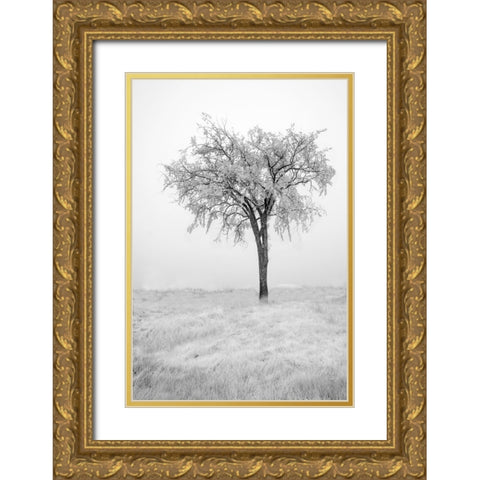 USA-Minnesota-Duluth-Park Point-Boardwalk over Dunes Gold Ornate Wood Framed Art Print with Double Matting by Hawkins, Peter
