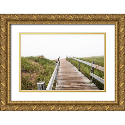 USA-Minnesota-Duluth-Park Point-Boardwalk over Dunes Gold Ornate Wood Framed Art Print with Double Matting by Hawkins, Peter