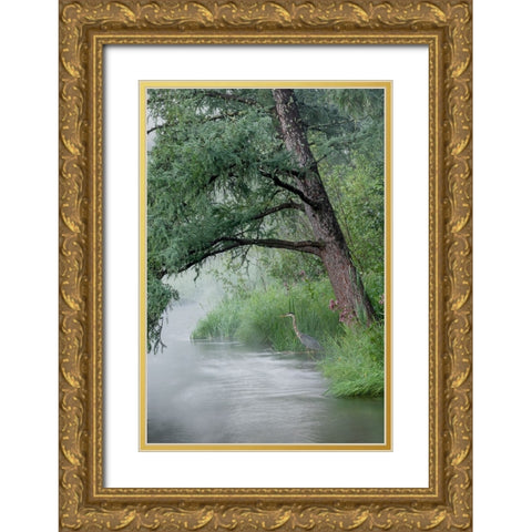 USA-Minnesota-Itasca State Park-Mississippi Headwaters Gold Ornate Wood Framed Art Print with Double Matting by Hawkins, Peter