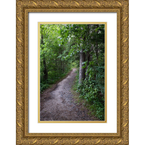 USA-Minnesota-La Salle State Recreation Area Gold Ornate Wood Framed Art Print with Double Matting by Hawkins, Peter