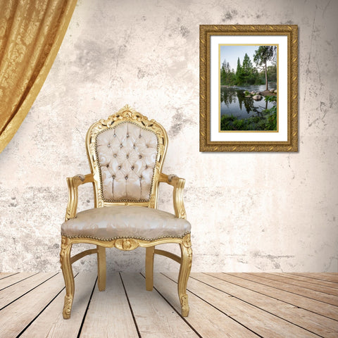 USA-Minnesota-Itasca State Park-Mississippi Headwaters Gold Ornate Wood Framed Art Print with Double Matting by Hawkins, Peter