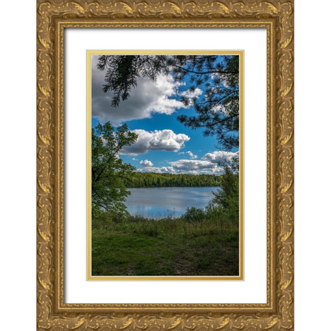 USA-Minnesota-La Salle State Recreation area Gold Ornate Wood Framed Art Print with Double Matting by Hawkins, Peter