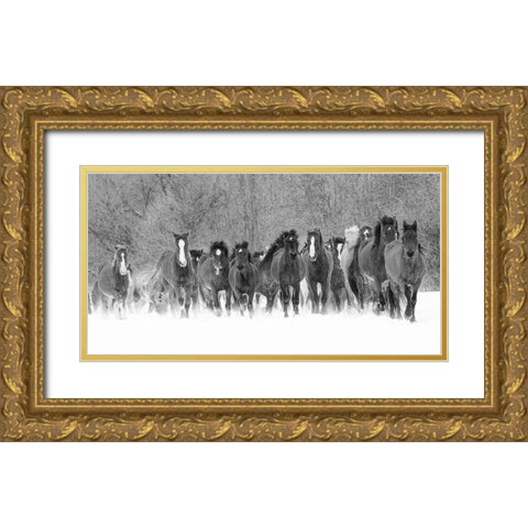 Panoramic view of rodeo horses running during winter roundup-Kalispell-Montana Gold Ornate Wood Framed Art Print with Double Matting by Jones, Adam