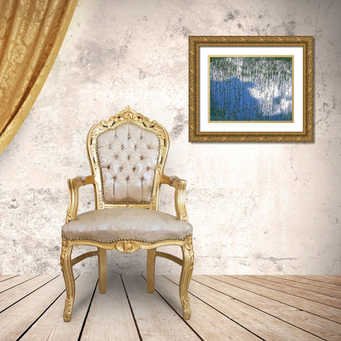 MT, Glacier NP Reflection of teasels and clouds Gold Ornate Wood Framed Art Print with Double Matting by Terrill, Steve