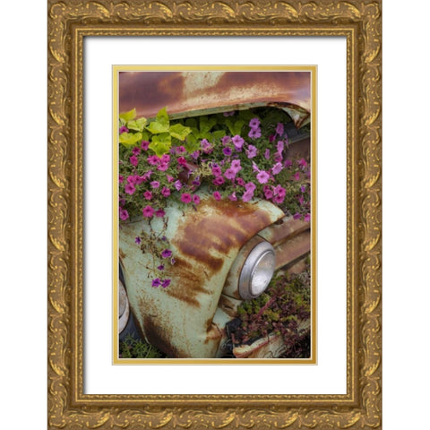 MT, Columbia Falls Petunias growing from a car Gold Ornate Wood Framed Art Print with Double Matting by Grall, Don