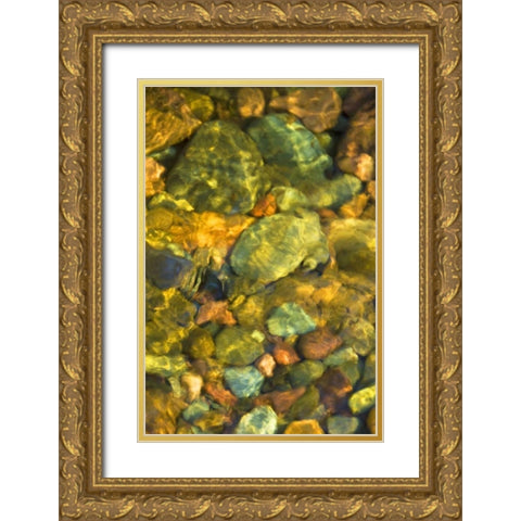 MT, Rattlesnake Wilderness Area Underwater rocks Gold Ornate Wood Framed Art Print with Double Matting by Rotenberg, Nancy