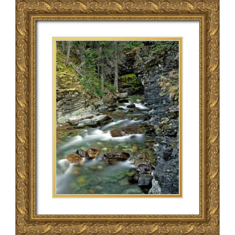 USA, Montana, Glacier NP Stream in Sunrift Gorge Gold Ornate Wood Framed Art Print with Double Matting by Terrill, Steve