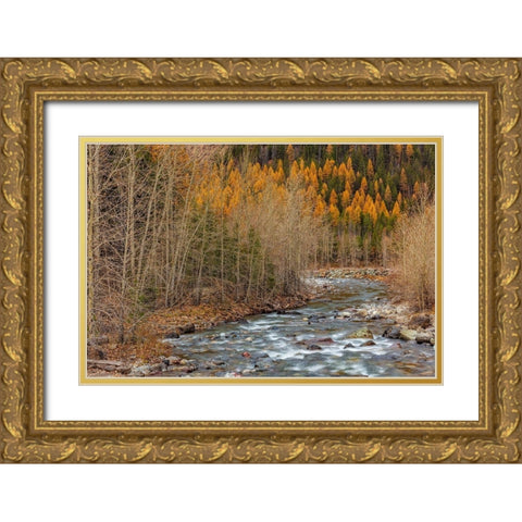 Bear Creek in autumn in the Flathead National Forest-Montana-USA Gold Ornate Wood Framed Art Print with Double Matting by Haney, Chuck