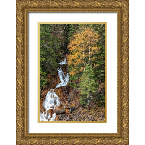 Fawn Creek Falls in autumn in the Flathead National Forest-Montana-USA Gold Ornate Wood Framed Art Print with Double Matting by Haney, Chuck