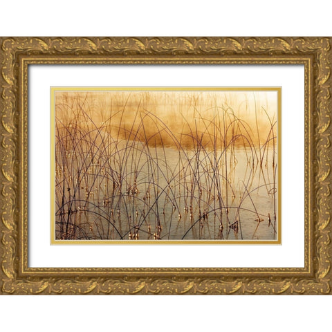Icy reeds at sunrise on cold morning at Spencer Lake near Whitefish-Montana-USA Gold Ornate Wood Framed Art Print with Double Matting by Haney, Chuck