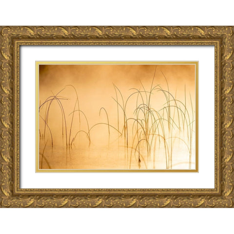 Icy reeds at sunrise on cold morning at Spencer Lake near Whitefish-Montana-USA Gold Ornate Wood Framed Art Print with Double Matting by Haney, Chuck