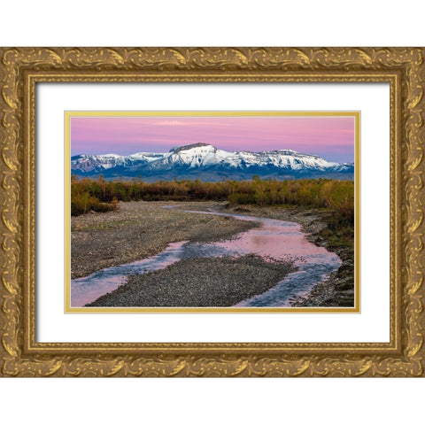 Dawn along the Teton River with Ear Mountain in background near Choteau-Montana-USA Gold Ornate Wood Framed Art Print with Double Matting by Haney, Chuck