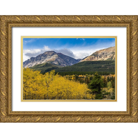 Autumn aspen grove with Bear Mountain in Glacier National Park-Montana-USA Gold Ornate Wood Framed Art Print with Double Matting by Haney, Chuck