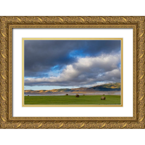 Hay bales in clearing fog with Salish Mountains in Lake County-Montana-USA Gold Ornate Wood Framed Art Print with Double Matting by Haney, Chuck