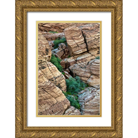 Valley of Fire-Nevada Gold Ornate Wood Framed Art Print with Double Matting by Jones, Adam