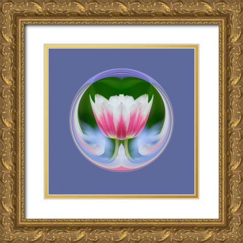Single tulip-Las Vegas-Nevada Gold Ornate Wood Framed Art Print with Double Matting by Jones, Adam