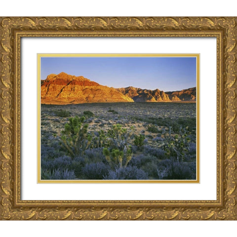 Nevada, Red Rock Canyon Sunset on hills Gold Ornate Wood Framed Art Print with Double Matting by Flaherty, Dennis