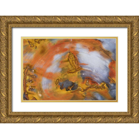 Nevada, Hubbard Basin Close-up of petrified wood Gold Ornate Wood Framed Art Print with Double Matting by Kirkland, Dennis