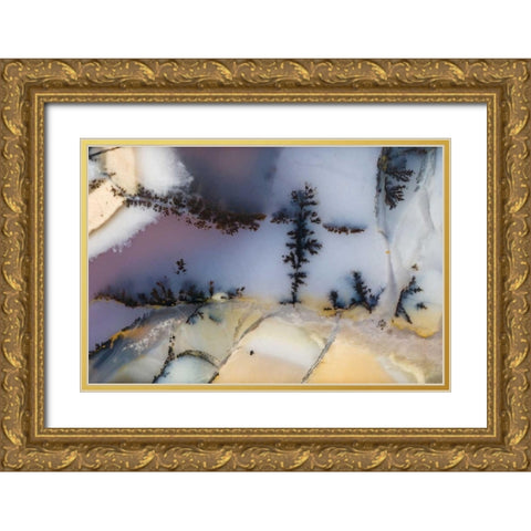 USA, Nevada Close-up of amethyst sage agate Gold Ornate Wood Framed Art Print with Double Matting by Kirkland, Dennis