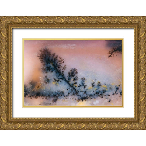 USA, Nevada Close-up of amethyst sage agate Gold Ornate Wood Framed Art Print with Double Matting by Kirkland, Dennis