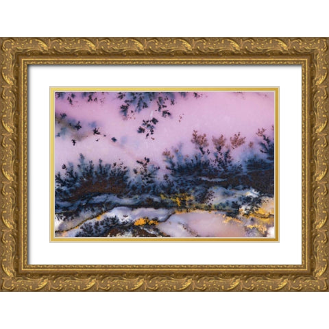 USA, Nevada Close-up of amethyst sage agate Gold Ornate Wood Framed Art Print with Double Matting by Kirkland, Dennis