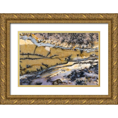 USA, Nevada Close-up of amethyst sage agate Gold Ornate Wood Framed Art Print with Double Matting by Kirkland, Dennis