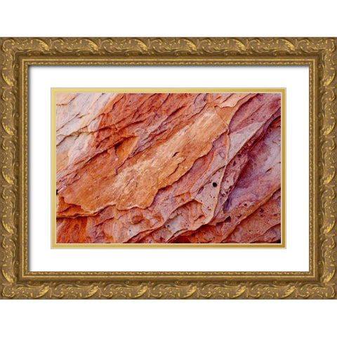 Nevada, Valley of Fire SP Layers of sandstone Gold Ornate Wood Framed Art Print with Double Matting by Grall, Don