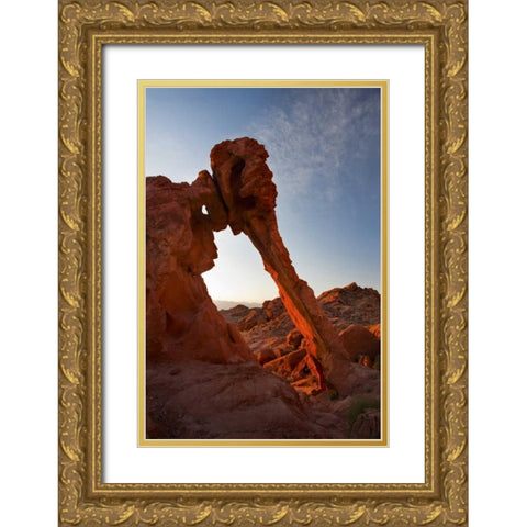 Nevada, Valley of Fire SP View of Elephant Rock Gold Ornate Wood Framed Art Print with Double Matting by Grall, Don