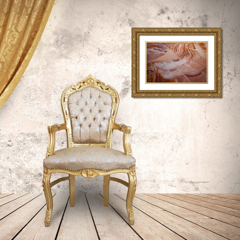 Nevada, Valley of Fire SP Striped sandstone Gold Ornate Wood Framed Art Print with Double Matting by Grall, Don