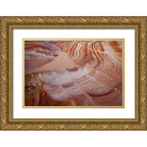 Nevada, Valley of Fire SP Striped sandstone Gold Ornate Wood Framed Art Print with Double Matting by Grall, Don