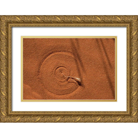 Nevada, Valley of Fire SP Circle in the sand Gold Ornate Wood Framed Art Print with Double Matting by Grall, Don