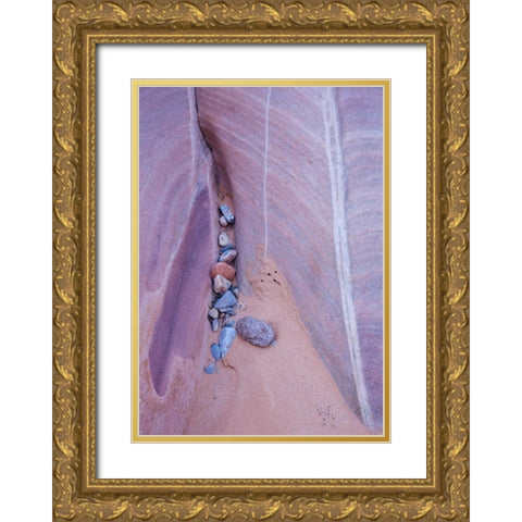 Nevada, Valley of Fire SP Eroded rock Gold Ornate Wood Framed Art Print with Double Matting by Delisle, Gilles