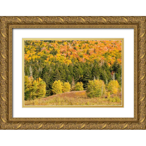 USA-New Hampshire-fall foliage Bretton Woods at base of Mount Washington Gold Ornate Wood Framed Art Print with Double Matting by Jones, Allison