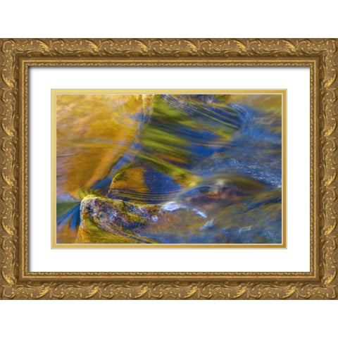 NH, White Mountain NF, Fall reflections in stream Gold Ornate Wood Framed Art Print with Double Matting by Rotenberg, Nancy