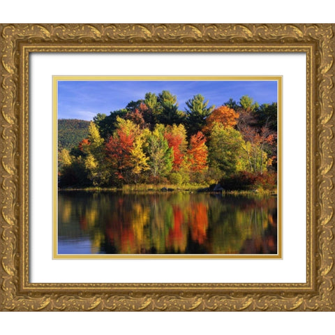 NH Trees in autumn reflecting in Lake Kanasatka Gold Ornate Wood Framed Art Print with Double Matting by Terrill, Steve