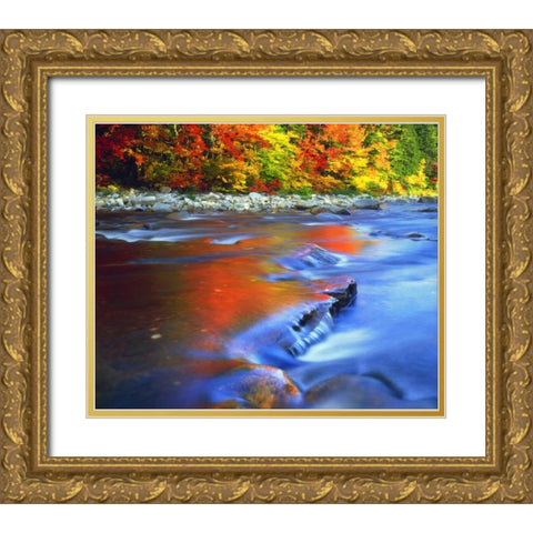 NH, White Mts, Swift River reflecting Autumn Gold Ornate Wood Framed Art Print with Double Matting by Talbot Frank, Christopher