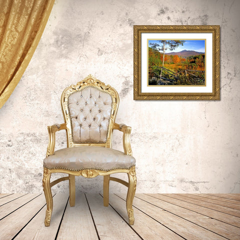 NH, Chocorua Autumn landscape of Mount Chocorua Gold Ornate Wood Framed Art Print with Double Matting by Terrill, Steve