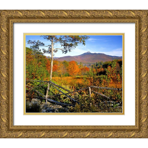 NH, Chocorua Autumn landscape of Mount Chocorua Gold Ornate Wood Framed Art Print with Double Matting by Terrill, Steve