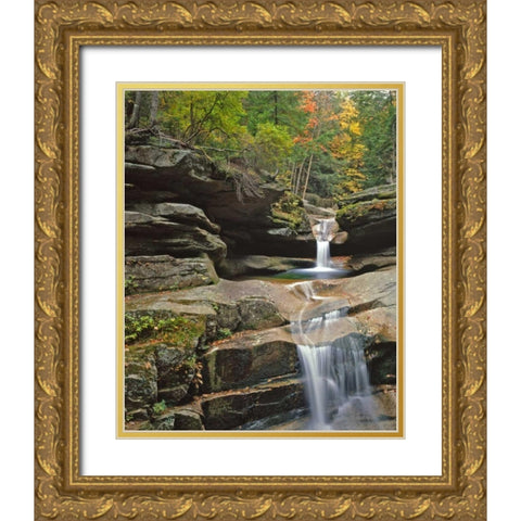 New Hampshire, White Mountains NF Sabbady Falls Gold Ornate Wood Framed Art Print with Double Matting by Terrill, Steve