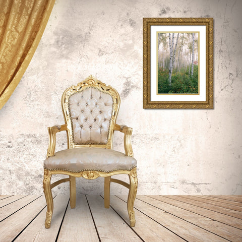 USA, New Hampshire Birch trees in clearing fog Gold Ornate Wood Framed Art Print with Double Matting by Bush, Marie