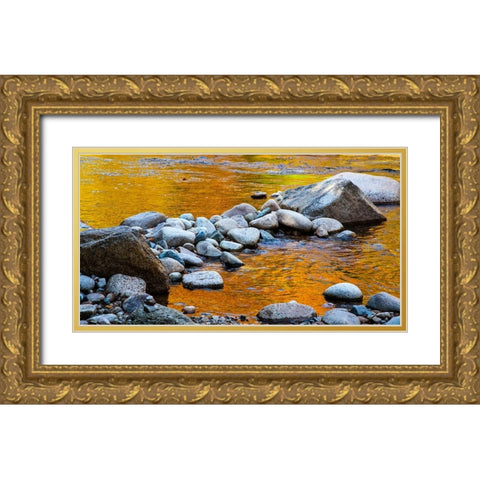 USA-New Hampshire-White Mountains National Forest-Swift River-Golden Fall colors reflected in rocky Gold Ornate Wood Framed Art Print with Double Matting by Gulin, Sylvia