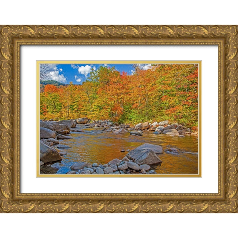 USA-New Hampshire-White Mountains National Forest and Swift River along Highway 112 in Autumn from  Gold Ornate Wood Framed Art Print with Double Matting by Gulin, Sylvia