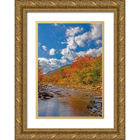 USA-New Hampshire-White Mountains National Forest and Swift River along Highway 112 in Autumn from  Gold Ornate Wood Framed Art Print with Double Matting by Gulin, Sylvia